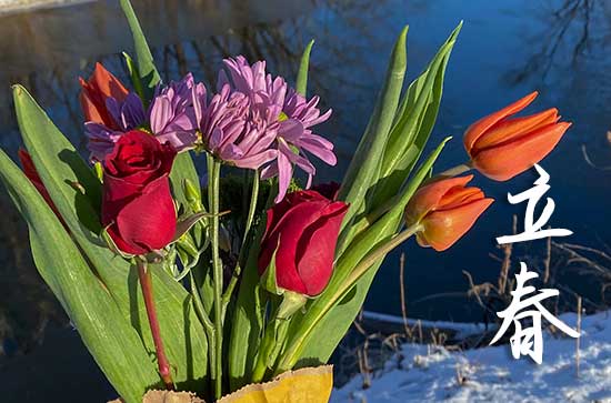 立春时间2024年几点几分 立春的风俗 立春时间2024年几点几分 立春的风俗