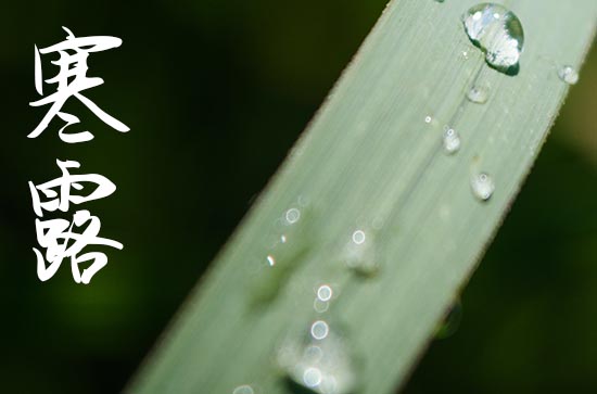 2023年寒露农历是哪个一天 2023年寒露农历是哪个一天